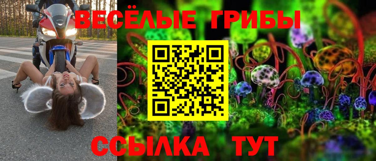 Ивантеевка  Псилоцибиновые грибы прущие грибы  Вход с VPN 