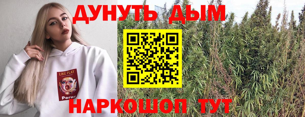 Каннабис сатива Ивантеевка